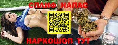 стафф Камышлов