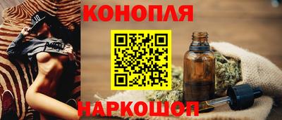 стафф Камышлов